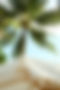 DSCF2450.JPG